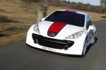 Peugeot 207 RCup 2006 года